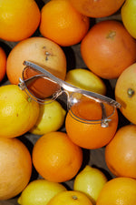 DLEX KIT Sunglasses
