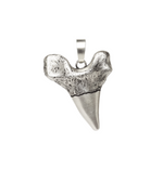 Sharktooth Charm | SILVER