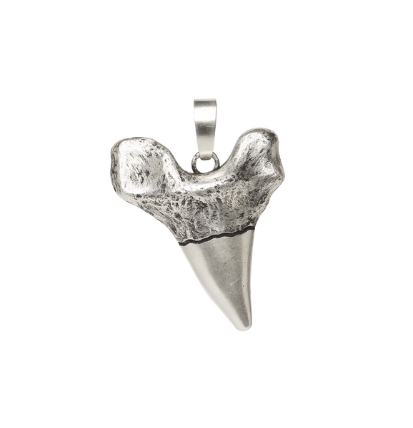 sharktoothsilver_2ec80b3a-e690