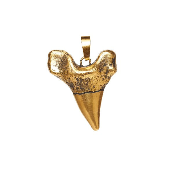 Sharktooth Charm | GILDED